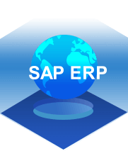 在典型資料庫上運行 SAP ERP