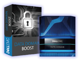 Data Domain