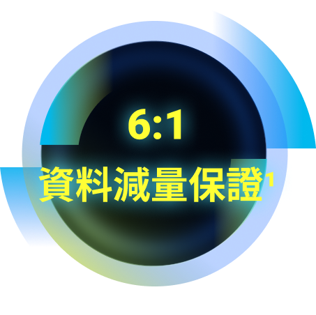6:1資料減量保證